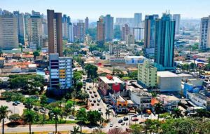 dedetização em santo andré
