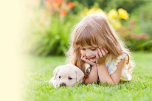 Dedetizadora residencial