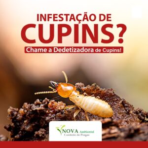 Descupinização Profissional